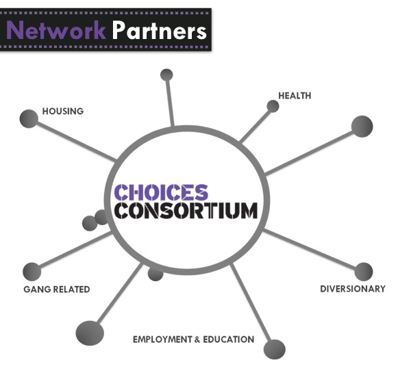 Network Members